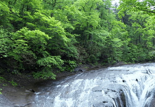6月の北海道。支笏湖、恵庭渓谷ドローン映像
